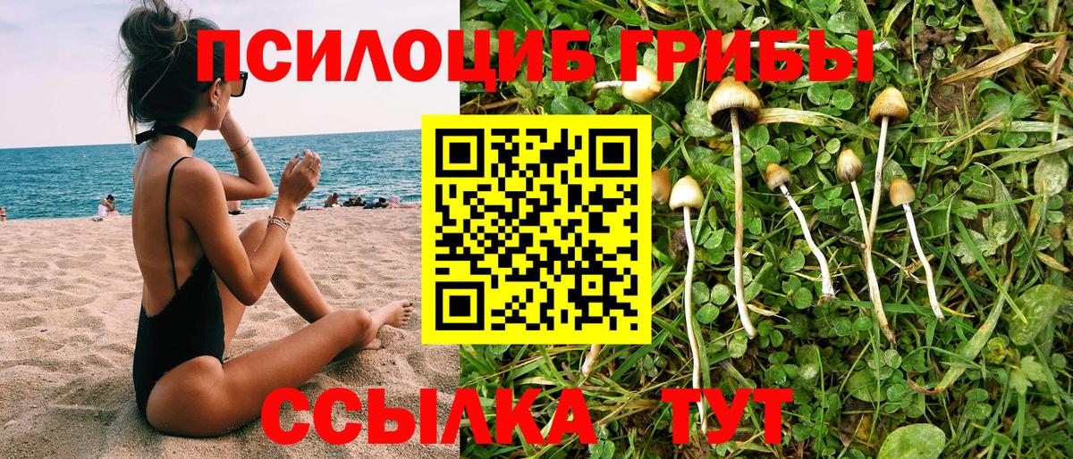 Галлюциногенные грибы Cubensis Серов