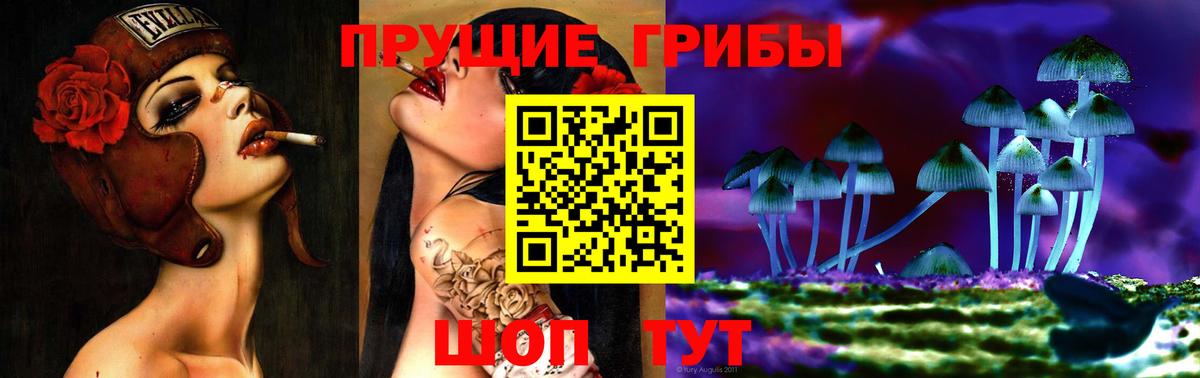 Серов  Псилоцибиновые грибы Magic Shrooms  цена наркотик  Вход с VPN  Галлюциногенные грибы MAGIC MUSHROOMS 